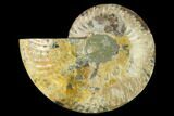 Agatized Ammonite Fossil (Half) - Madagascar #135240-1